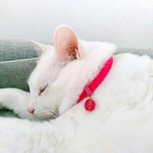 アトリエたいよう