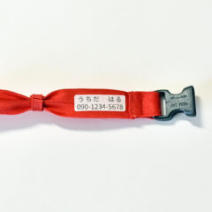 飼い猫が脱走したときの対策！首輪の役割とは？