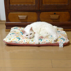 快適＆スタイリッシュ！猫用ベッドの選び方とおすすめ5選