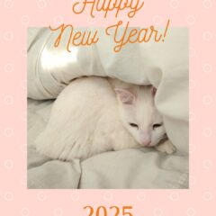 あけましておめでとうございます