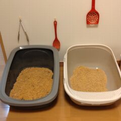 猫トイレに最適な固まる砂の特徴と活用法